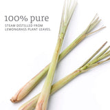 100% Pure Essential Oils (1/3oz) (Lemongrass) - himalayancrystallitez.com